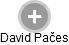David Pačes - Vizualizace  propojení osoby a firem v obchodním rejstříku