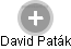 David Paták - Vizualizace  propojení osoby a firem v obchodním rejstříku