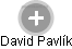 David Pavlík - Vizualizace  propojení osoby a firem v obchodním rejstříku