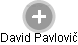 David Pavlovič - Vizualizace  propojení osoby a firem v obchodním rejstříku