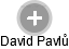 David Pavlů - Vizualizace  propojení osoby a firem v obchodním rejstříku