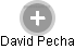 David Pecha - Vizualizace  propojení osoby a firem v obchodním rejstříku