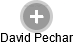 David Pechar - Vizualizace  propojení osoby a firem v obchodním rejstříku