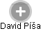 David Píša - Vizualizace  propojení osoby a firem v obchodním rejstříku