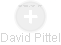 David Pittel - Vizualizace  propojení osoby a firem v obchodním rejstříku