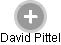 David Pittel - Vizualizace  propojení osoby a firem v obchodním rejstříku