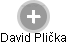 David Plička - Vizualizace  propojení osoby a firem v obchodním rejstříku