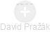 David Pražák - Vizualizace  propojení osoby a firem v obchodním rejstříku