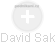 David Sak - Vizualizace  propojení osoby a firem v obchodním rejstříku