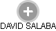 DAVID SALABA - Vizualizace  propojení osoby a firem v obchodním rejstříku