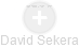 David Sekera - Vizualizace  propojení osoby a firem v obchodním rejstříku