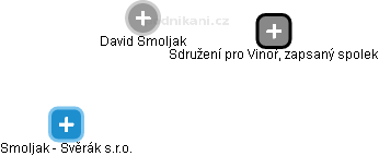 David Smoljak - Vizualizace  propojení osoby a firem v obchodním rejstříku