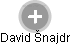 David Šnajdr - Vizualizace  propojení osoby a firem v obchodním rejstříku