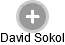 David Sokol - Vizualizace  propojení osoby a firem v obchodním rejstříku