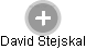 David Stejskal - Vizualizace  propojení osoby a firem v obchodním rejstříku