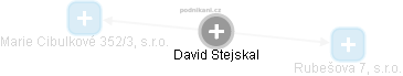 David Stejskal - Vizualizace  propojení osoby a firem v obchodním rejstříku