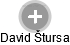 David Štursa - Vizualizace  propojení osoby a firem v obchodním rejstříku