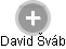  David Š. - Vizualizace  propojení osoby a firem v obchodním rejstříku