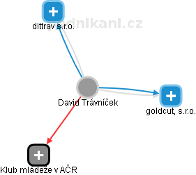 David Trávníček - Vizualizace  propojení osoby a firem v obchodním rejstříku