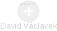 David Václavek - Vizualizace  propojení osoby a firem v obchodním rejstříku