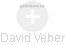 David Veber - Vizualizace  propojení osoby a firem v obchodním rejstříku