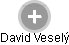 David Veselý - Vizualizace  propojení osoby a firem v obchodním rejstříku