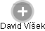 David Víšek - Vizualizace  propojení osoby a firem v obchodním rejstříku