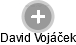 David Vojáček - Vizualizace  propojení osoby a firem v obchodním rejstříku
