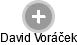 David Voráček - Vizualizace  propojení osoby a firem v obchodním rejstříku