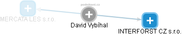 David Vybíhal - Vizualizace  propojení osoby a firem v obchodním rejstříku