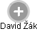 David Žák - Vizualizace  propojení osoby a firem v obchodním rejstříku