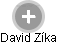 David Zíka - Vizualizace  propojení osoby a firem v obchodním rejstříku