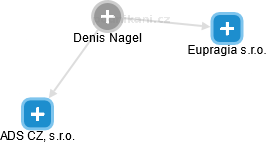  Denis N. - Vizualizace  propojení osoby a firem v obchodním rejstříku