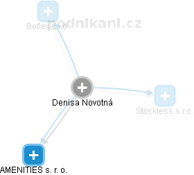  Denisa N. - Vizualizace  propojení osoby a firem v obchodním rejstříku