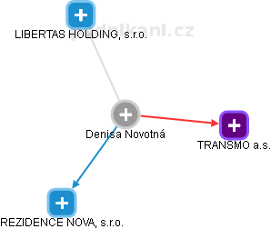  Denisa N. - Vizualizace  propojení osoby a firem v obchodním rejstříku