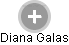 Diana Galas - Vizualizace  propojení osoby a firem v obchodním rejstříku