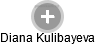 Diana Kulibayeva - Vizualizace  propojení osoby a firem v obchodním rejstříku