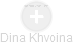 Dina Khvoina - Vizualizace  propojení osoby a firem v obchodním rejstříku