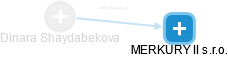 Dinara Shaydabekova - Vizualizace  propojení osoby a firem v obchodním rejstříku
