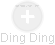  Ding D. - Vizualizace  propojení osoby a firem v obchodním rejstříku