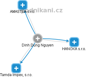  Dinh N. - Vizualizace  propojení osoby a firem v obchodním rejstříku