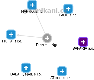 Dinh Hai Ngo - Vizualizace  propojení osoby a firem v obchodním rejstříku