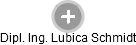 Lubica Schmidt - Vizualizace  propojení osoby a firem v obchodním rejstříku