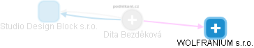 Dita Bezděková - Vizualizace  propojení osoby a firem v obchodním rejstříku