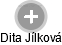  Dita J. - Vizualizace  propojení osoby a firem v obchodním rejstříku