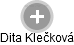 Dita Klečková - Vizualizace  propojení osoby a firem v obchodním rejstříku