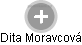 Dita Moravcová - Vizualizace  propojení osoby a firem v obchodním rejstříku