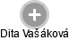Dita Vašáková - Vizualizace  propojení osoby a firem v obchodním rejstříku