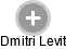Dmitri Levit - Vizualizace  propojení osoby a firem v obchodním rejstříku