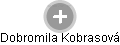 Dobromila Kobrasová - Vizualizace  propojení osoby a firem v obchodním rejstříku